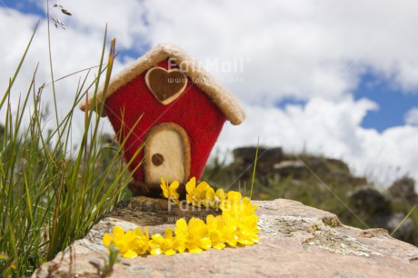 Fair Trade Photo Colour image, Day, Flower, Horizontal, House, New home, Outdoor, Peru, Red, South America, Yellow