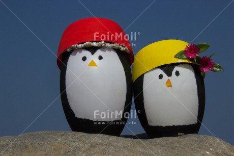 Fair Trade Photo Animals, Colour image, Friendship, Funny, Holiday, Horizontal, Love, Peru, Pinguin, South America