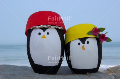 Fair Trade Photo Animals, Colour image, Funny, Horizontal, Peru, Pinguin, South America, Summer