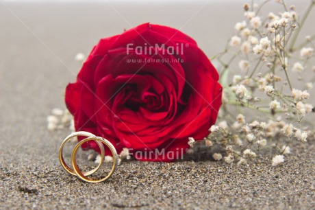 Fair Trade Photo Beach, Colour image, Horizontal, Marriage, Outdoor, Peru, Red, Ring, Rose, South America, Wedding, White