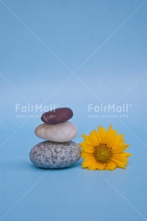 Fair Trade Photo Blue, Colour, Colour image, Flower, Gratitude, Horizontal, Nature, Peru, Place, Rock, South America, Spirituality, Stone, Thank you, Values, Vertical, Yellow