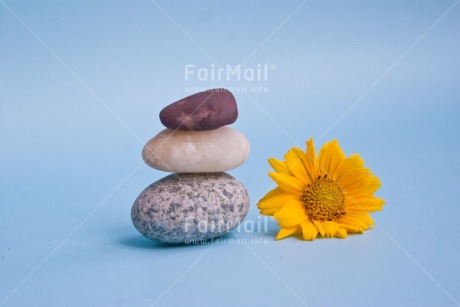 Fair Trade Photo Blue, Colour, Colour image, Flower, Gratitude, Horizontal, Nature, Peru, Place, Rock, South America, Spirituality, Stone, Thank you, Values, Yellow