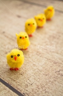 Fair Trade Photo Adjective, Animals, Chick, Colour, Easter, Friend, Friendship, Party, People, Vertical, Yellow