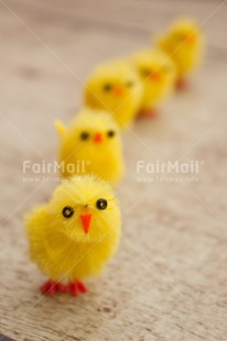 Fair Trade Photo Adjective, Animals, Chick, Colour, Easter, Friend, Friendship, Party, People, Vertical, Yellow