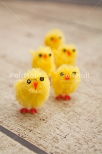 Fair Trade Photo Adjective, Animals, Chick, Colour, Easter, Friend, Friendship, Party, People, Vertical, Yellow