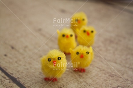 Fair Trade Photo Adjective, Animals, Chick, Colour, Easter, Friend, Friendship, Horizontal, Party, People, Yellow