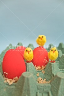 Fair Trade Photo Adjective, Animals, Chick, Colour, Easter, Egg, Food and alimentation, Vertical, Yellow