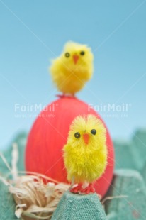 Fair Trade Photo Adjective, Animals, Blue, Chick, Colour, Easter, Egg, Food and alimentation, Friend, Friendship, People, Red, Vertical, Yellow