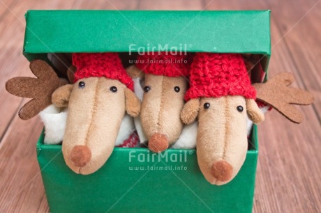 Fair Trade Photo Activity, Adjective, Animals, Box, Celebrating, Christmas, Christmas decoration, Colour, Gift, Green, Horizontal, Object, Present, Red, Reindeer, Surprise