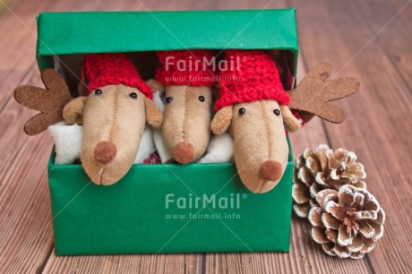 Fair Trade Photo Activity, Adjective, Animals, Box, Celebrating, Christmas, Christmas decoration, Colour, Gift, Green, Horizontal, Object, Pine cone, Present, Red, Reindeer, Surprise