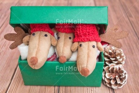 Fair Trade Photo Activity, Adjective, Animals, Box, Celebrating, Christmas, Christmas decoration, Colour, Gift, Green, Horizontal, Object, Pine cone, Present, Red, Reindeer, Surprise