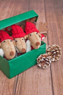 Fair Trade Photo Activity, Adjective, Animals, Box, Celebrating, Christmas, Christmas decoration, Colour, Gift, Green, Horizontal, Object, Pine cone, Present, Red, Reindeer, Surprise