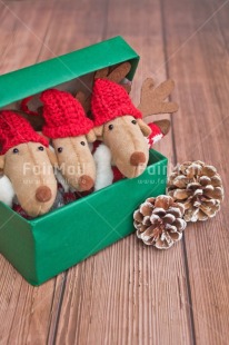 Fair Trade Photo Activity, Adjective, Animals, Box, Celebrating, Christmas, Christmas decoration, Colour, Gift, Green, Horizontal, Object, Pine cone, Present, Red, Reindeer, Surprise