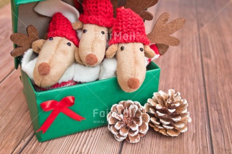 Fair Trade Photo Activity, Adjective, Animals, Box, Celebrating, Christmas, Christmas decoration, Colour, Gift, Green, Horizontal, Object, Pine cone, Present, Red, Reindeer, Surprise