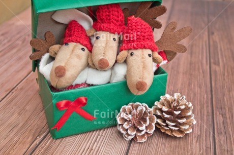 Fair Trade Photo Activity, Adjective, Animals, Box, Celebrating, Christmas, Christmas decoration, Colour, Gift, Green, Horizontal, Object, Pine cone, Present, Red, Reindeer, Surprise