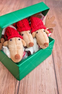 Fair Trade Photo Activity, Adjective, Animals, Box, Celebrating, Christmas, Christmas decoration, Colour, Gift, Green, Object, Present, Red, Reindeer, Surprise, Vertical