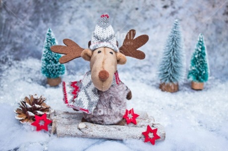 Fair Trade Photo Activity, Adjective, Animals, Celebrating, Christmas, Christmas decoration, Christmas tree, Colour, Horizontal, Object, Pine cone, Present, Red, Reindeer, Snow, Star