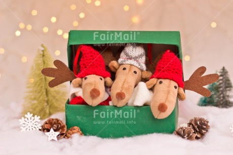 Fair Trade Photo Activity, Adjective, Animals, Box, Celebrating, Christmas, Christmas decoration, Colour, Gift, Green, Horizontal, Light, Nature, Object, Pine cone, Present, Red, Reindeer, Snow, Surprise