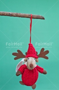 Fair Trade Photo Activity, Adjective, Animals, Branch, Celebrating, Christmas, Christmas decoration, Colour, Green, Nature, Object, Present, Red, Reindeer, Vertical