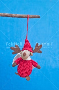 Fair Trade Photo Activity, Adjective, Animals, Blue, Branch, Celebrating, Christmas, Christmas decoration, Colour, Nature, Object, Present, Red, Reindeer, Vertical