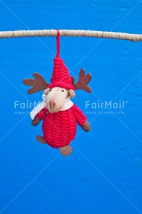 Fair Trade Photo Activity, Adjective, Animals, Blue, Branch, Celebrating, Christmas, Christmas decoration, Colour, Nature, Object, Present, Red, Reindeer, Vertical