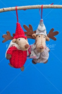 Fair Trade Photo Activity, Adjective, Animals, Blue, Branch, Celebrating, Christmas, Christmas decoration, Colour, Nature, Object, Present, Red, Reindeer, Vertical