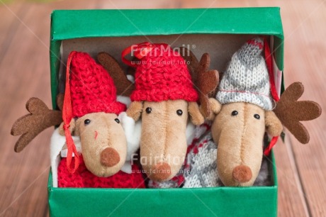 Fair Trade Photo Activity, Adjective, Animals, Box, Celebrating, Christmas, Christmas decoration, Colour, Gift, Green, Horizontal, Object, Present, Red, Reindeer, Surprise