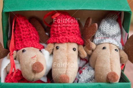 Fair Trade Photo Activity, Adjective, Animals, Box, Celebrating, Christmas, Christmas decoration, Colour, Gift, Green, Horizontal, Object, Present, Red, Reindeer, Surprise