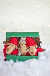 Fair Trade Photo Activity, Adjective, Animals, Box, Celebrating, Christmas, Christmas decoration, Colour, Gift, Green, Light, Nature, Object, Present, Red, Reindeer, Snow, Surprise, Vertical