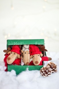 Fair Trade Photo Activity, Adjective, Animals, Box, Celebrating, Christmas, Christmas decoration, Colour, Gift, Green, Light, Nature, Object, Pine cone, Present, Red, Reindeer, Snow, Surprise, Vertical
