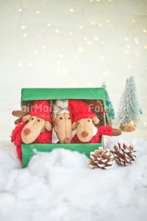 Fair Trade Photo Activity, Adjective, Animals, Box, Celebrating, Christmas, Christmas decoration, Christmas tree, Colour, Gift, Green, Light, Nature, Object, Pine cone, Present, Red, Reindeer, Snow, Surprise, Vertical