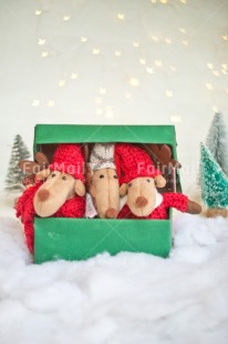 Fair Trade Photo Activity, Adjective, Animals, Box, Celebrating, Christmas, Christmas decoration, Christmas tree, Colour, Gift, Green, Light, Nature, Object, Present, Red, Reindeer, Snow, Surprise, Vertical