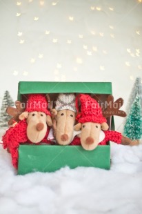 Fair Trade Photo Activity, Adjective, Animals, Box, Celebrating, Christmas, Christmas decoration, Colour, Gift, Green, Light, Nature, Object, Present, Red, Reindeer, Snow, Surprise, Vertical