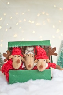 Fair Trade Photo Activity, Adjective, Animals, Box, Celebrating, Christmas, Christmas decoration, Colour, Gift, Green, Light, Nature, Object, Present, Red, Reindeer, Snow, Surprise, Vertical