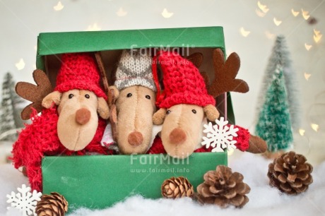 Fair Trade Photo Activity, Adjective, Animals, Box, Celebrating, Christmas, Christmas decoration, Christmas tree, Colour, Gift, Green, Horizontal, Light, Nature, Object, Pine cone, Present, Red, Reindeer, Snow, Surprise