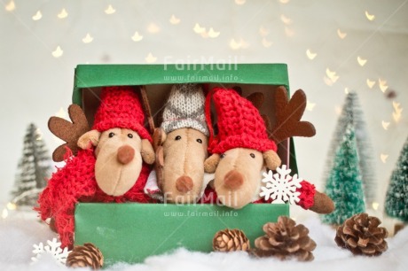 Fair Trade Photo Activity, Adjective, Animals, Box, Celebrating, Christmas, Christmas decoration, Colour, Gift, Green, Horizontal, Light, Nature, Object, Pine cone, Present, Red, Reindeer, Snow, Surprise