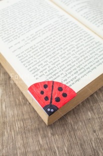 Fair Trade Photo Activity, Animals, Book, Colour, Ladybug, Object, Reading, Red