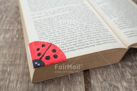 Fair Trade Photo Activity, Animals, Book, Colour, Ladybug, Object, Reading, Red