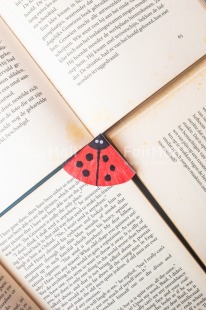 Fair Trade Photo Activity, Animals, Book, Colour, Ladybug, Object, Reading, Red