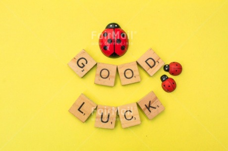 Fair Trade Photo Animals, Colour, Congratulations, Emotions, Goal, Good luck, Ladybug, Letter, Object, Success, Text, Yellow