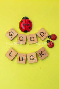 Fair Trade Photo Animals, Colour, Congratulations, Emotions, Goal, Good luck, Ladybug, Letter, Object, Success, Text, Yellow