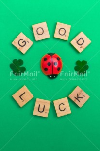 Fair Trade Photo Animals, Clover, Colour, Congratulations, Emotions, Flower, Goal, Good luck, Ladybug, Letter, Nature, Object, Success, Text, Yellow