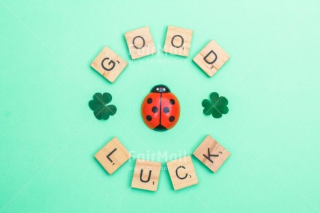 Fair Trade Photo Animals, Blue, Clover, Colour, Congratulations, Emotions, Flower, Goal, Good luck, Ladybug, Letter, Nature, Object, Success, Text