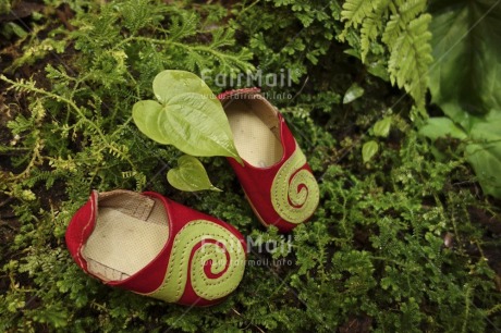 Fair Trade Photo Closeup, Colour image, Day, Forest, Green, Horizontal, Leaf, Nature, New baby, Outdoor, Peru, Plant, Red, Shoe, South America