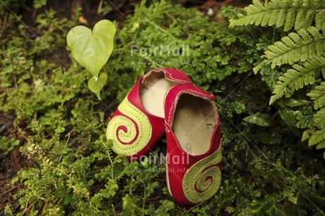 Fair Trade Photo Closeup, Colour image, Day, Forest, Green, Horizontal, Leaf, Nature, New baby, Outdoor, Peru, Plant, Red, Shoe, South America