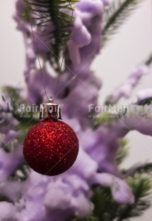 Fair Trade Photo Christmas, Christmas ball, Colour image, Indoor, Peru, Red, Snow, South America, Tree, Vertical