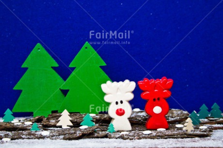 Fair Trade Photo Animals, Blue, Christmas, Christmas tree, Colour image, Green, Horizontal, Peru, Red, Reindeer, Snow, South America, White