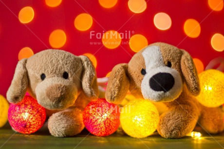 Fair Trade Photo Animals, Colour image, Dog, Heart, Ligh, Peluche, Peru, Red, South America