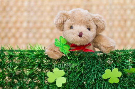 Fair Trade Photo Animals, Bear, Birthday, Clover, Colour image, Congratulations, Friendship, Grass, Green, Peluche, Peru, South America, Success, Teddybear, Thinking of you, Well done