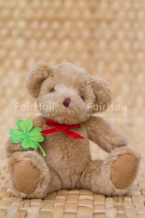 Fair Trade Photo Animals, Bear, Birthday, Clover, Colour image, Congratulations, Friendship, Green, Peluche, Peru, South America, Success, Teddybear, Thinking of you, Well done